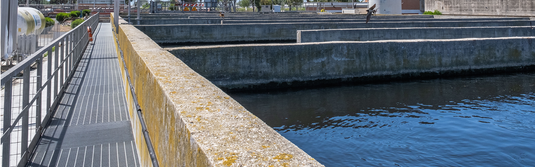 Infrastruttura acea di un depuratore con una vasca d'acqua