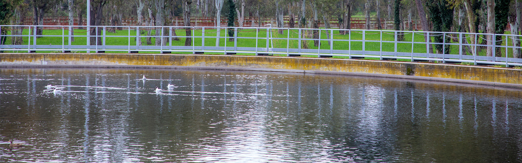 Impianto Acea con vasca di raccolta dell'acqua e alberi sullo sfondo