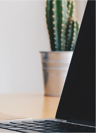 Laptop poggiato su una scrivania d'ufficio. Si vede anche uno smartphone e una pianta di cactus